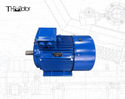 China IC0141 Squirrel Cage Motor With 75mm Shaft Diameter For Continuous S1 Operation for sale
