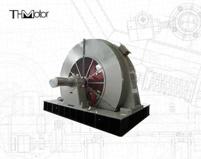 Cina IP55 Rated AC Synchronous Motor with 4 Poles and IEC Standard Mining in vendita