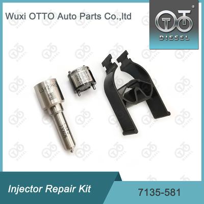 China 7135-581 Delphi Injector Repair Kit For R00101D PSA / FORD DW10C for sale
