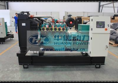 China Cummins Natural Gas Generator from 20kW to 2200kW for sale