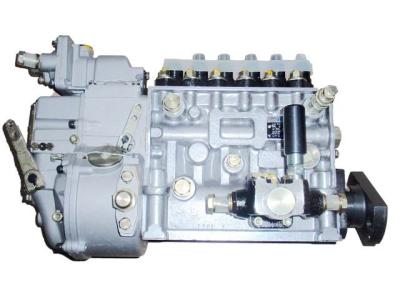 China Fuel injector pump for Weifang Ricardo Engine 295/495/4100/4105/6105/6113/6126 for sale
