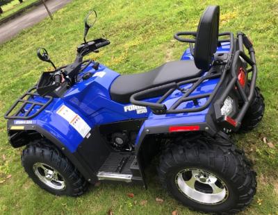 China 1000W Single-cylinder Water-cooled Engine Two-drive Chain Drive Hisun 250cc ATV with 1 for sale