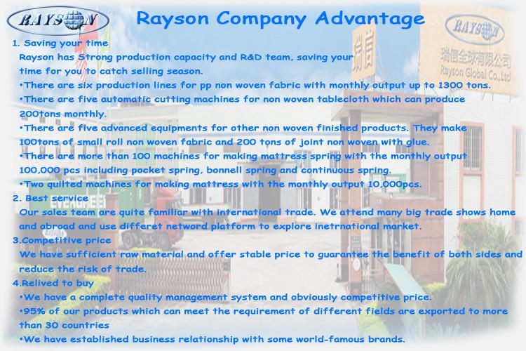 Verified China supplier - Foshan Rayson Non Woven Co.,Ltd