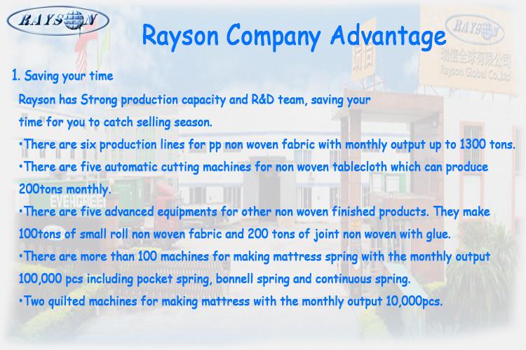 Verified China supplier - Foshan Rayson Non Woven Co.,Ltd