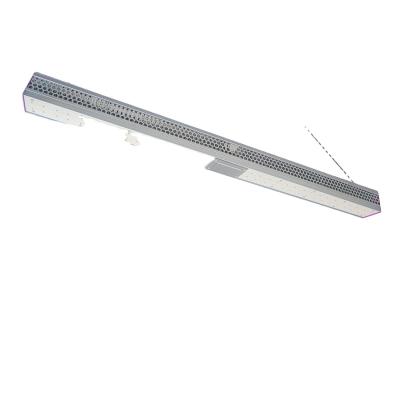 China Efficient Commercial Greenhouse LED Grow Lights 60Hz Ip65 For Plants for sale
