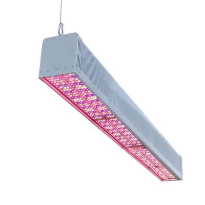 China Broad White Spectra Greenhouse LED Grow Lights 600W IP65 2.7μmol/J for sale
