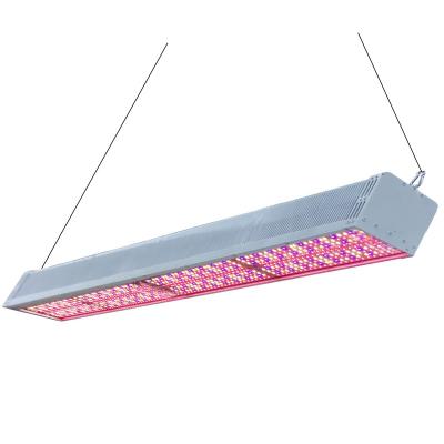 China 2.9μmol/J Greenhouse LED Grow Lights 600w High Efficacy For Plants for sale