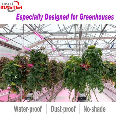 China 640W Greenhouse Supplemental Lighting 660nm IP65 Grow Lights For Vegetables Indoors for sale