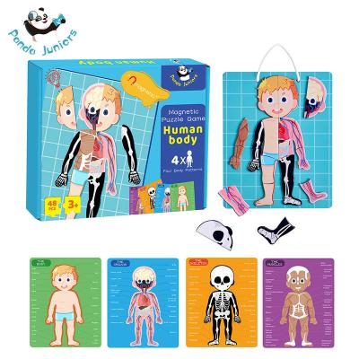 China Magnetic Jigsaw Puzzle Preschool Learning Toys , Human Body Bones And Muscles Toys Aged Over Three for sale