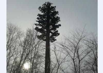 China Torre monopolar camuflada de la palmera biónica del pino en venta