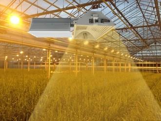 China Indoor 1000 Watt Grow Light Aluminum Hood Dimmable With 6 Phase Dimming Function for sale