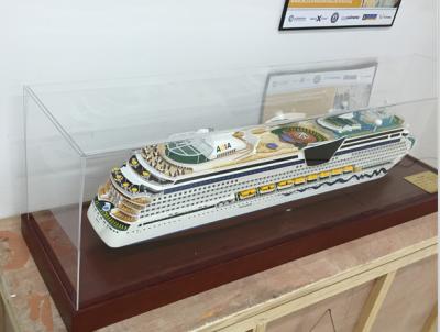 China Aida Cruises Cruise Ship Models  Composite Paint ship model for sale