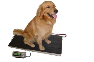 China 304 escalas de peso baixas de aço inoxidável do cão da bandeja 150kg à venda