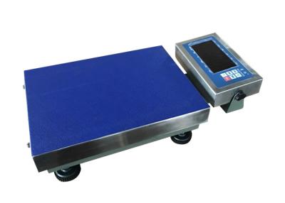 China Mild Steel 150kg Portable Bench Scale With Handle for sale