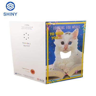 China Custom Happy Birthday Recordable Musical Greeting Cards With Sound for sale