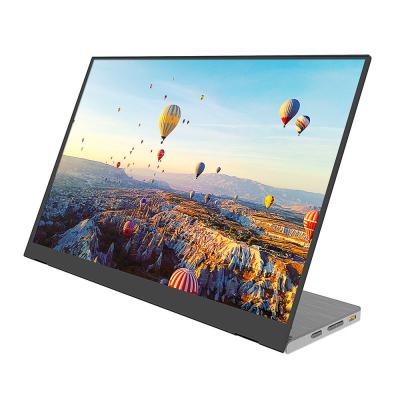 Cina 15.8 Inch 60HZ Full HD 1080P LCD Laptop Screen Monitor For Gaming in vendita