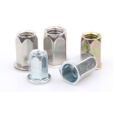 China Flat Head Open End Hex Rivet Nut Blind Riveting Round Head Full Hex Rivet Nuts for sale