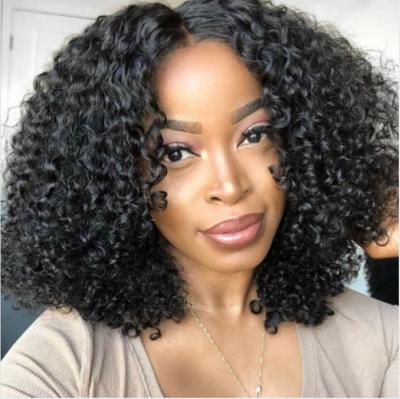 China 6A 100 Human Hair Wigs For Black Women,Small Curly Wig, Short Wig for sale