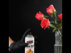 Aeropak 200ml aerosol Spray Paint For Real Flowers In different Colors