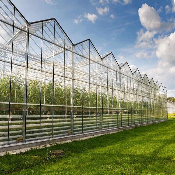 Quality Clear Roofing Polycarbonate Panels Sheet For Greenhouse Construction for sale