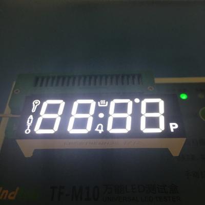 China Black Face  4 Digit 7 Segment LED Display  Ultra White For Gas Cooker for sale