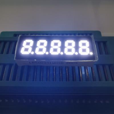 China 5 Digit 20mA 120mcd 0.23'' Common Anode LED Display for sale