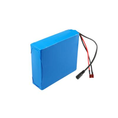 China 15Ah 24V LiFePO4 Battery Pack 2560Wh For Electric Scooter for sale