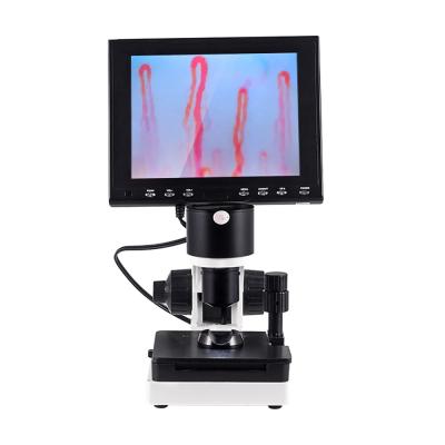 China Portable Led Display Nail Fold Capillaroscopy Microscope 400x Magnification for sale