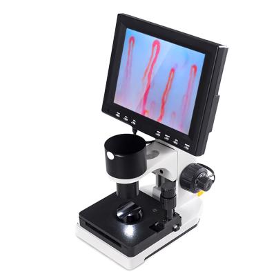 China Detecting Body Health Microcirculation Microscope Color Screen Blood Test Machine for sale
