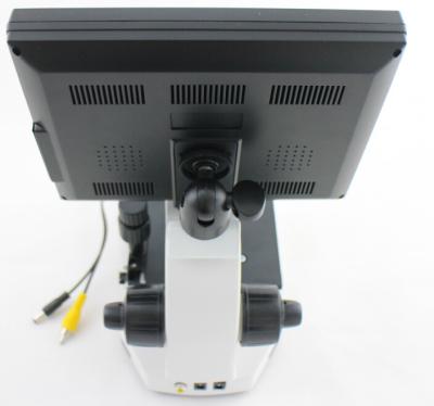 China CE Approved OEM LCD Screen Color Microcirculation Microscope for Nail Checking for sale