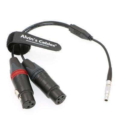 China Durable Audio Video Cable 5 Pin To Two XLR 3 Pin Female Audio Input Custom Length for sale