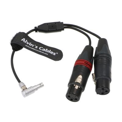 China 10cm 5 Pin Male To 15cm 3 Pin Female Audio Cable For Z CAM E2 Camera for sale