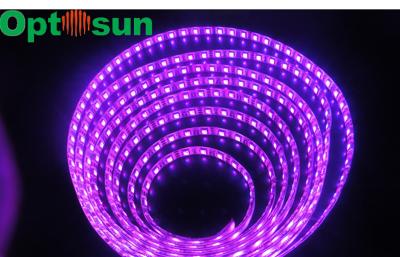 China High Efficiency 120° Green SMD 5050 LED Strip Light , 12 Volt RGB Flexible Led Strip Lighting for sale