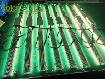 China 1000w LED crecen el cable eléctrico del cable de la cadena de margaritas T de las luces en venta