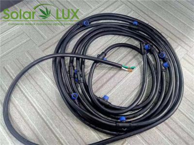 Chine La LED élèvent le cordon de secteur de lumières et les connecteurs Daisy Chain le cordon de secteur de 10AWG SJT SJTW à vendre