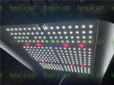 China el tablero completo ULTRAVIOLETA LED del espectro G2 Quantum de 120w IR crece luces en venta
