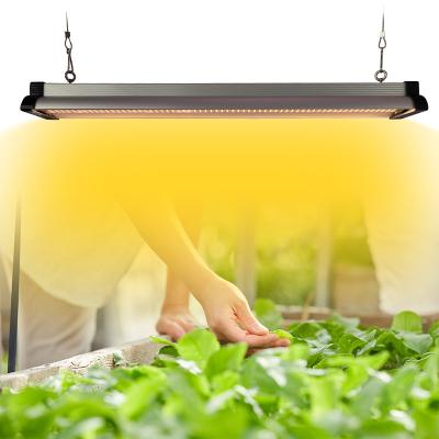 China 30w 45w 60w Full Spectrum LED Grow Light For Vegetables for sale