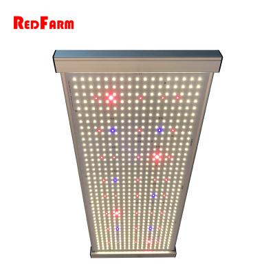 China Dimmable 480W Quantum Full Spectrum LED Grow Board Samsung Diodes for sale