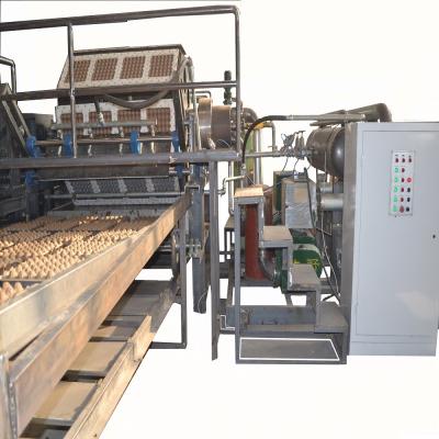 China 3000pcs/h Recycled Paper Egg Box Making Machine Rotary Type High Speed for sale