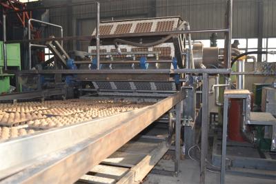 China Tipo rotatorio cadena de producción de la bandeja del huevo del papel capacidad grande 1500-5000pcs/h en venta
