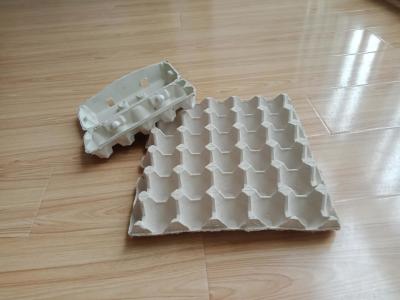 中国 フォーム形式1000pcs/Hを交換する耐久の紙くずの卵のカートン作成機械 販売のため