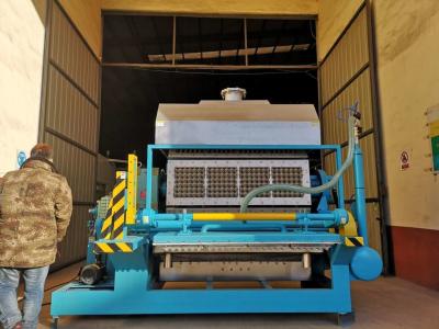 China Rotary Forming Egg Tray Machine , Egg Carton Making Machine Long Service Life for sale