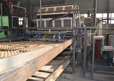 China Paper Egg Carton / Tray Making Machine , Durable Fruit Tray Making Machine for sale