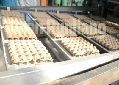 China Capacidade grande linha de produção reciclada tipo da bandeja do ovo da polpa economia de energia de Rotray à venda