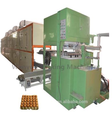 China Manufacturer Disposable Paper Molded Dry Fruit Tray Egg Tray Equipment for sale