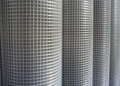 China Welded Wire Mesh for sale