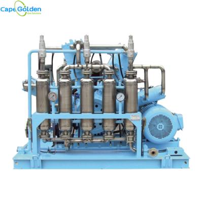 China 12m3 Diaphragm Oil free tank Oxygen Compressor For Cylinder Filling for sale