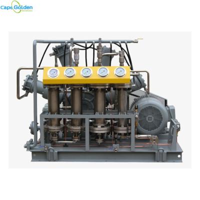 China CO2 Carbon Dioxide Compressor Oil Free Gas Compressor 16-40bar Industrial for sale