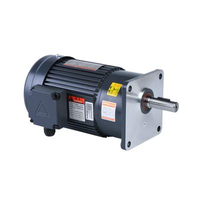 China 100w 0.125hp Electric Motor Gearbox 18mm Shaft 3 Phase 220v 380v for sale