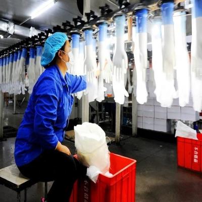 China Disposable Nitrile Glove Manufacturing Machine Medical Latex for sale